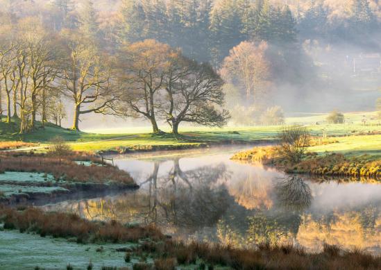 Hasubootferien in Grossbritannien - Erstaunliche Natur